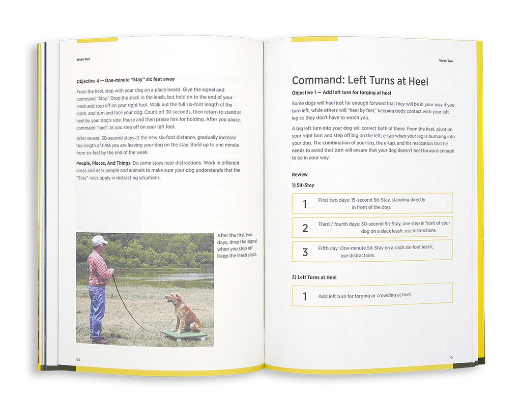 Dog Training Book product image 5