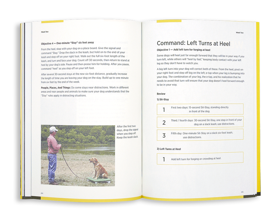 Dog Training Book product image 5