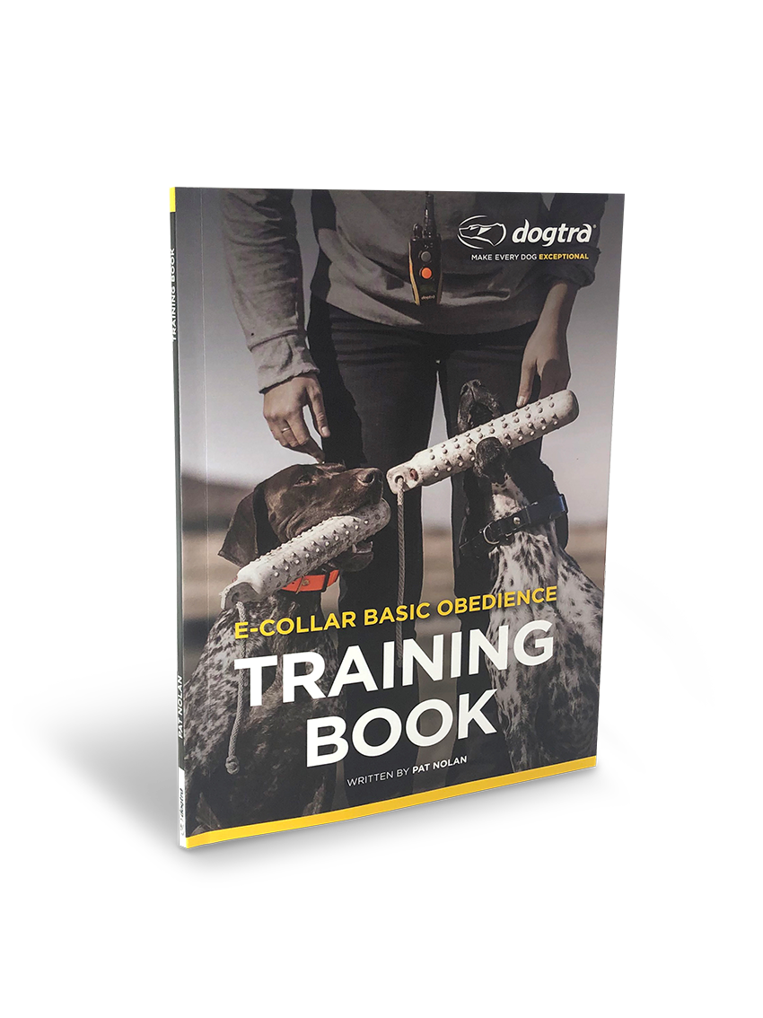 Dog Training Book product image 6