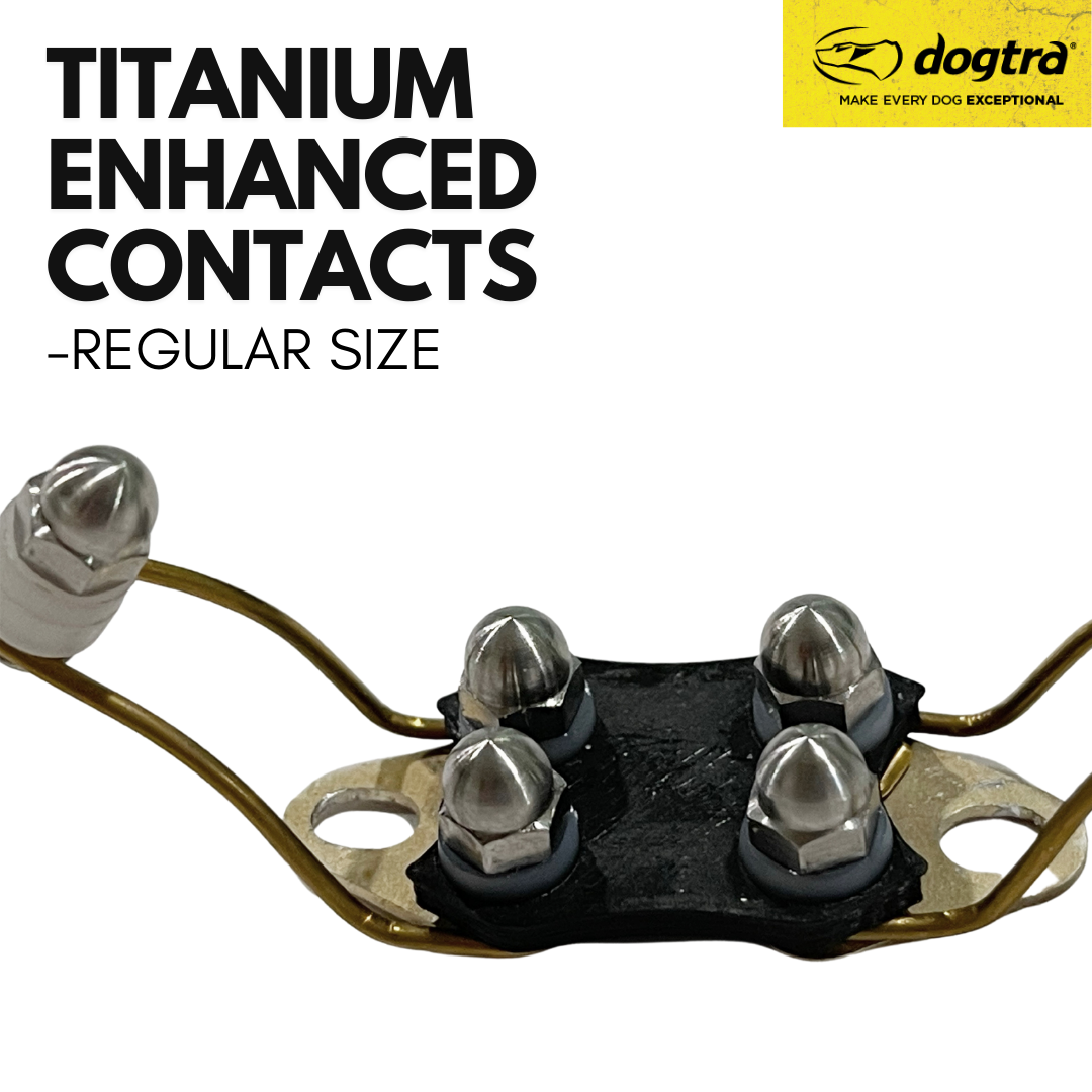 Dog Training Collar Contacts product image 3
