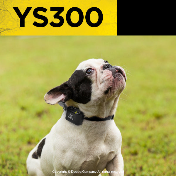 No Bark Collar product image 4