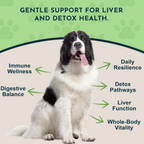 Dog Liver Supplement product image 2