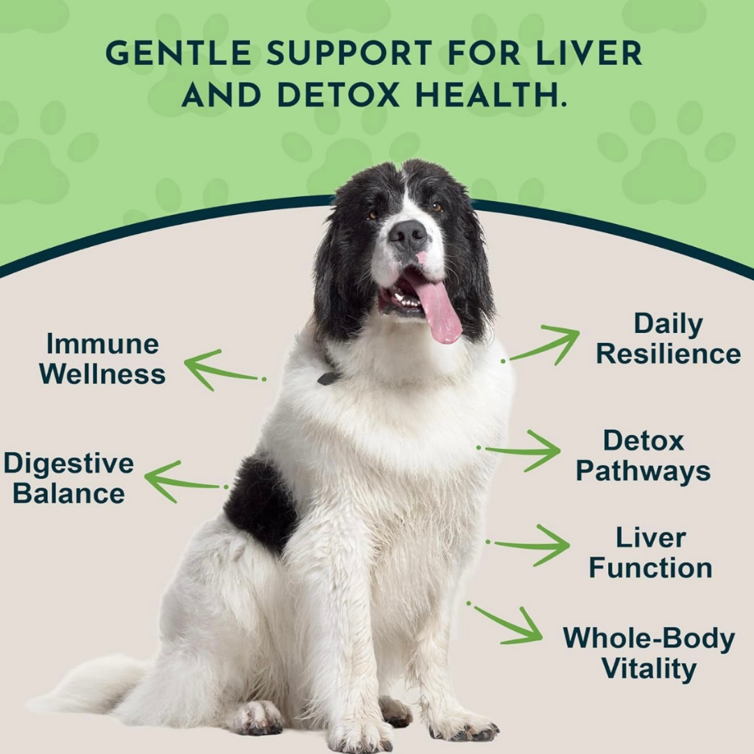 Dog Liver Supplement product image 2