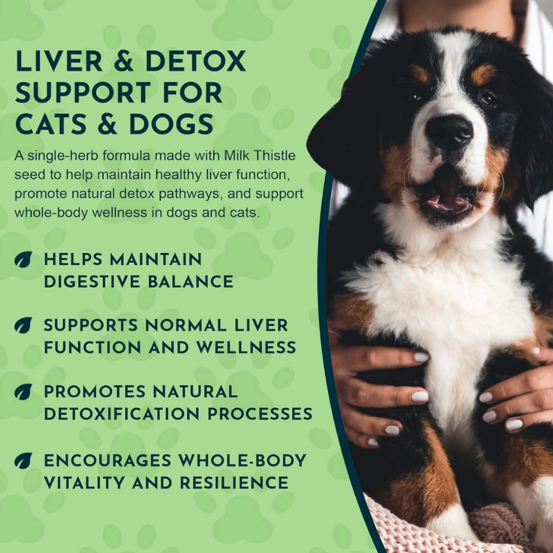 Dog Liver Supplement product image 3