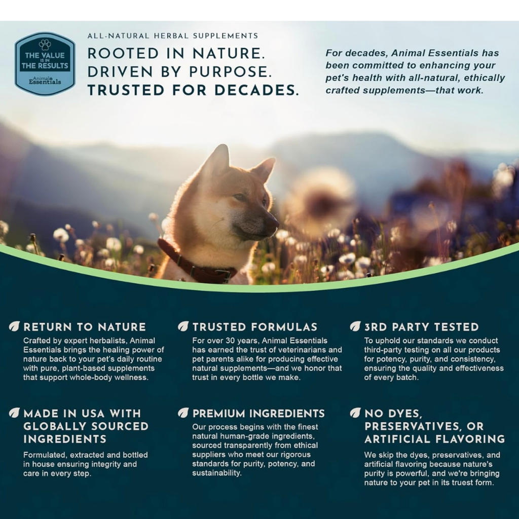 Dog Liver Supplement product image 8