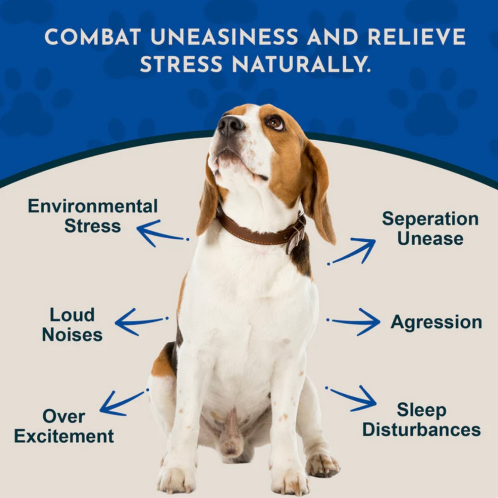 Dog Calming Supplement product image 2