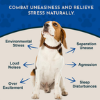 Dog Calming Supplement product image 2