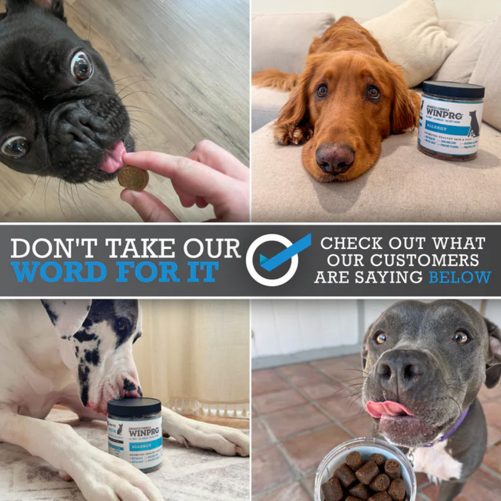 Dog Allergy Chews product image 11