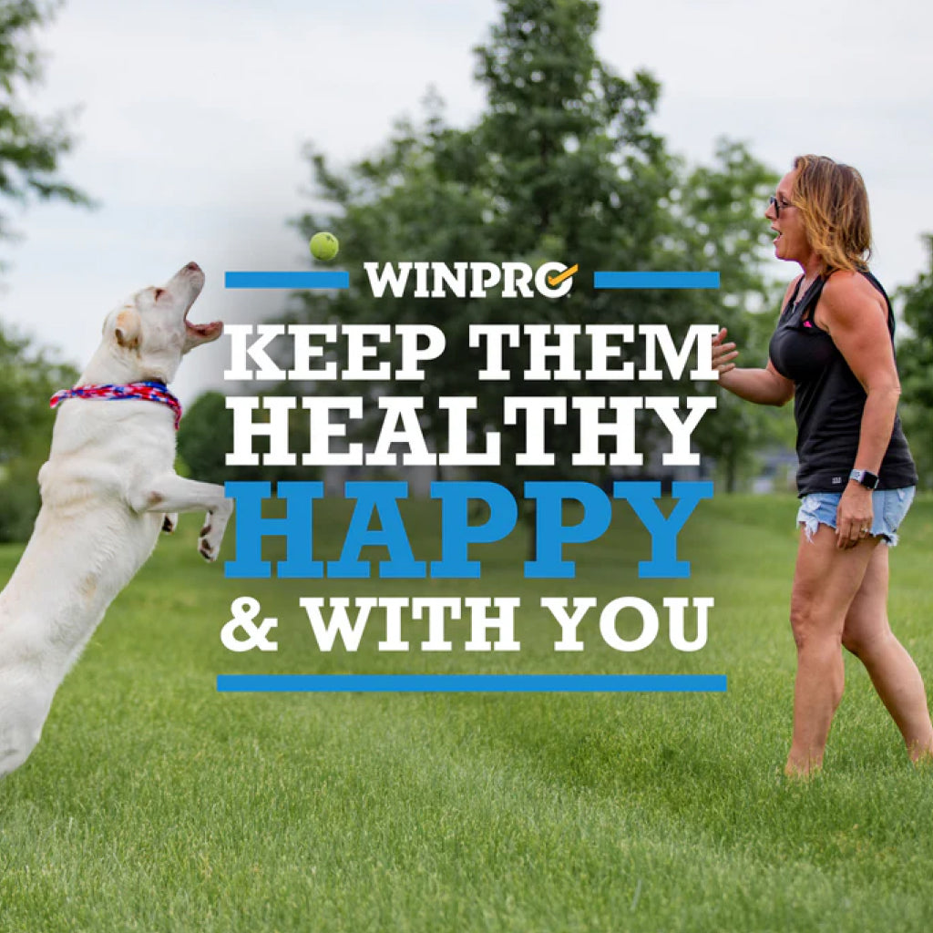 Dog Allergy Chews product image 12