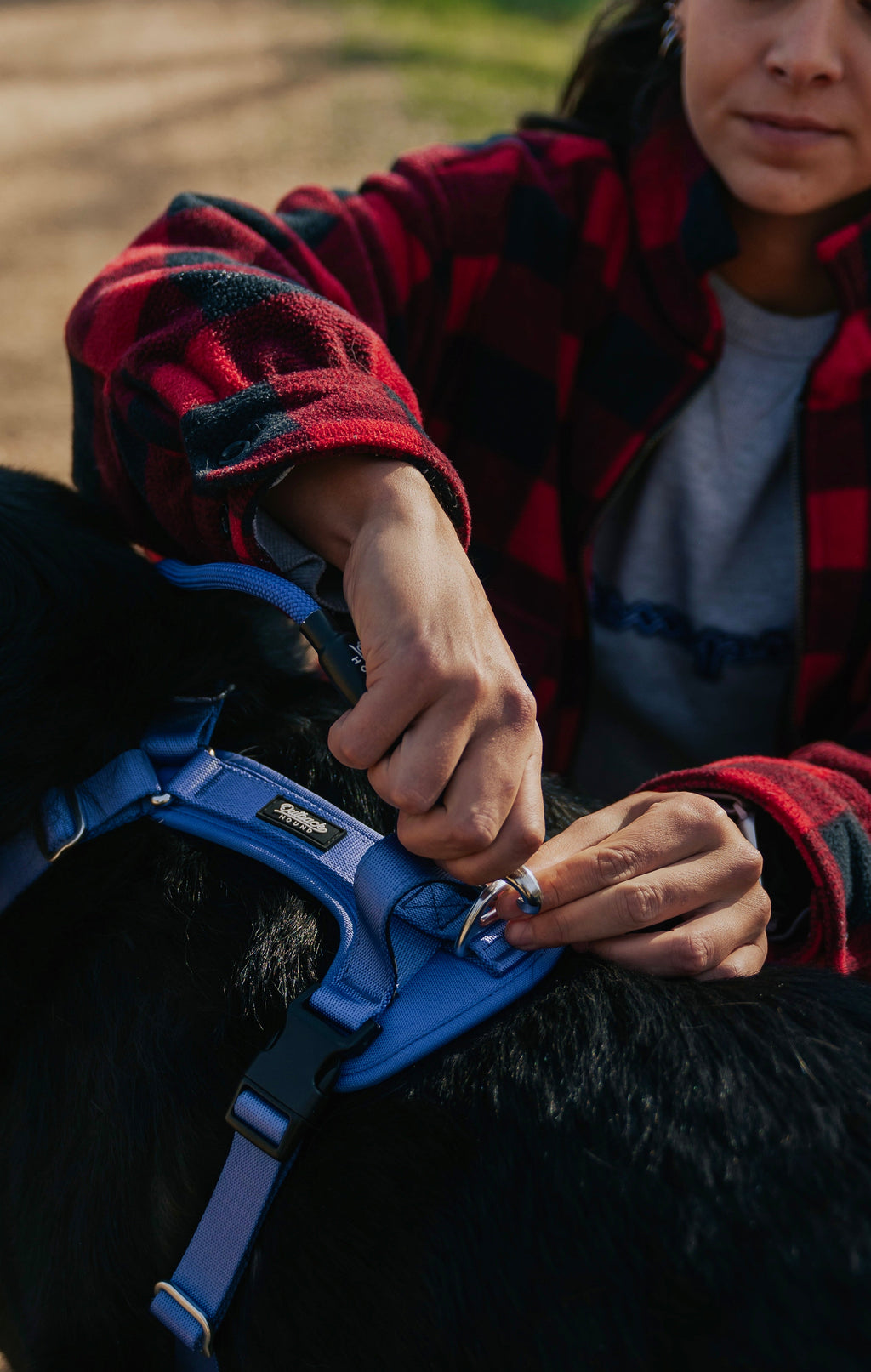 Dog Harness product image 5