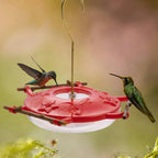 Hummingbird Feeder product image 3