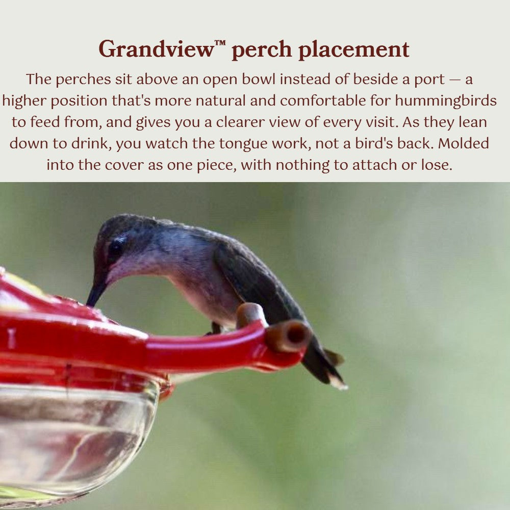 Hummingbird Feeder product image 5
