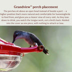 Hummingbird Feeder product image 5