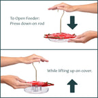 Hummingbird Feeder product image 12