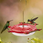 Hummingbird Feeder product image 19