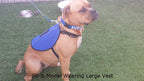 Service Dog Vest product image 2