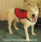 Service Dog Vest product image 3