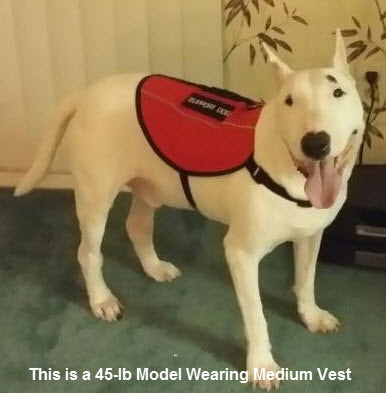 Service Dog Vest product image 3