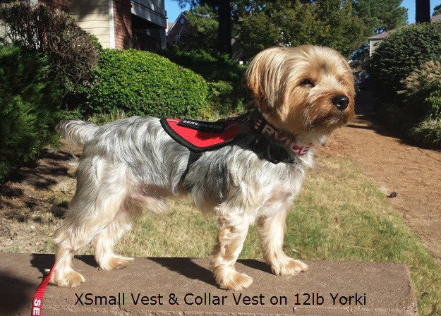 Service Dog Vest product image 4