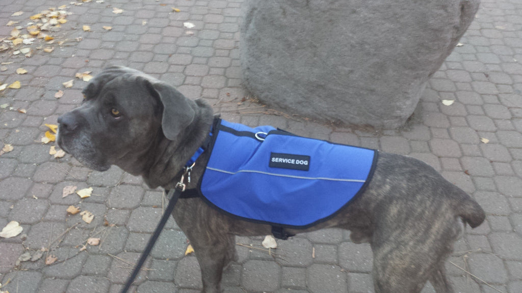 Service Dog Vest product image 7