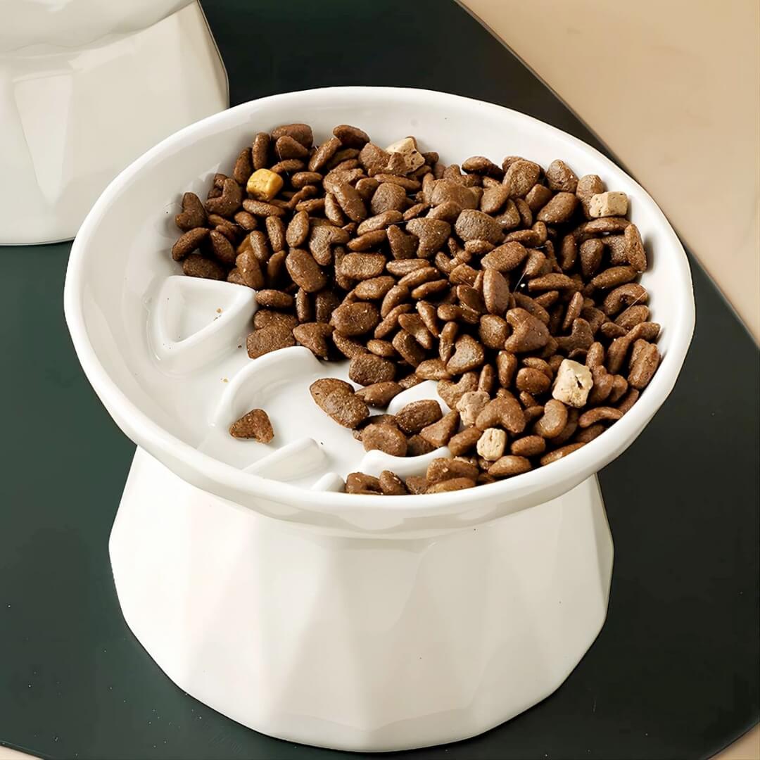 Slow Feeder Bowl product image 1