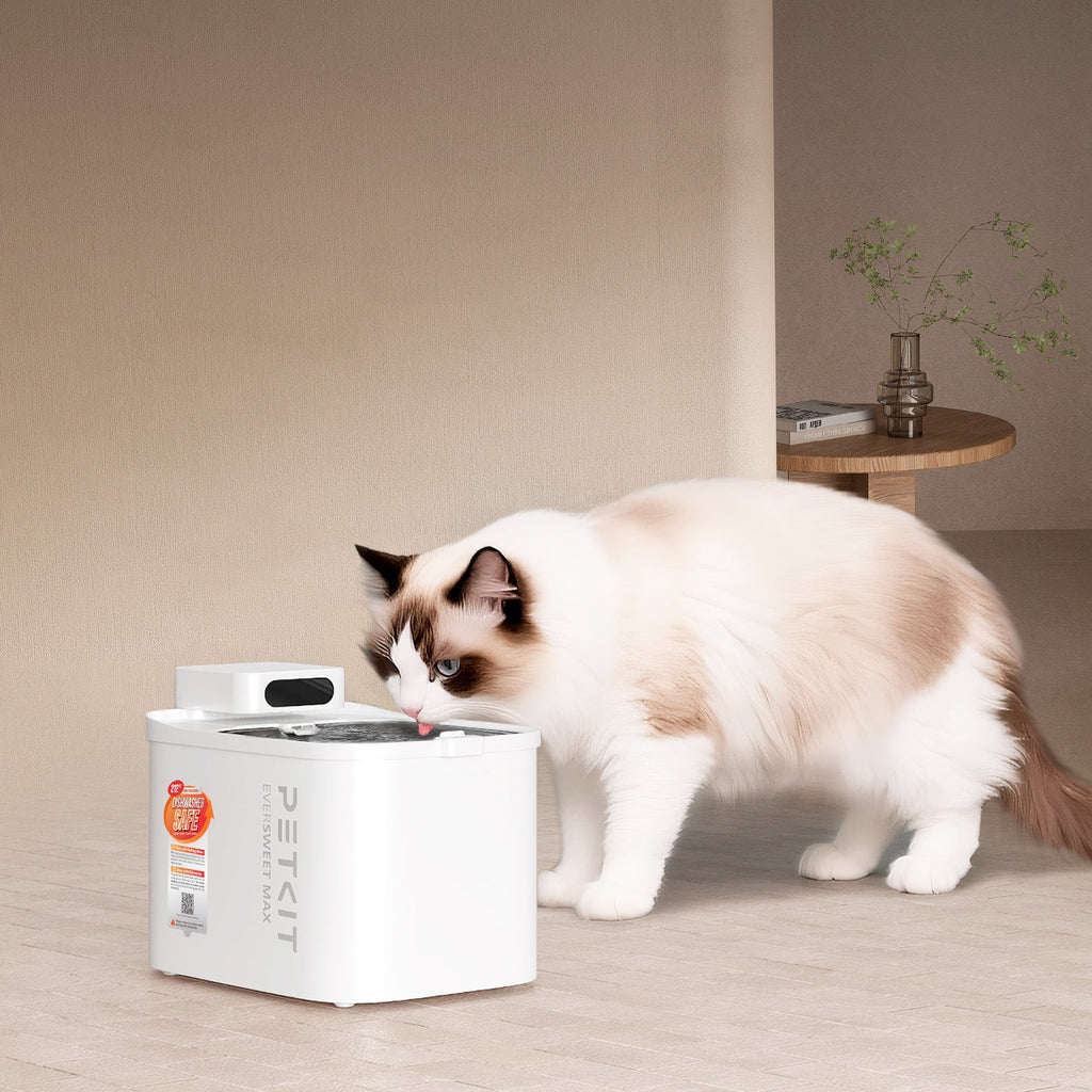 Pet Water Fountain product image 2