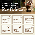 Freeze-Dried Dog Food product image 9
