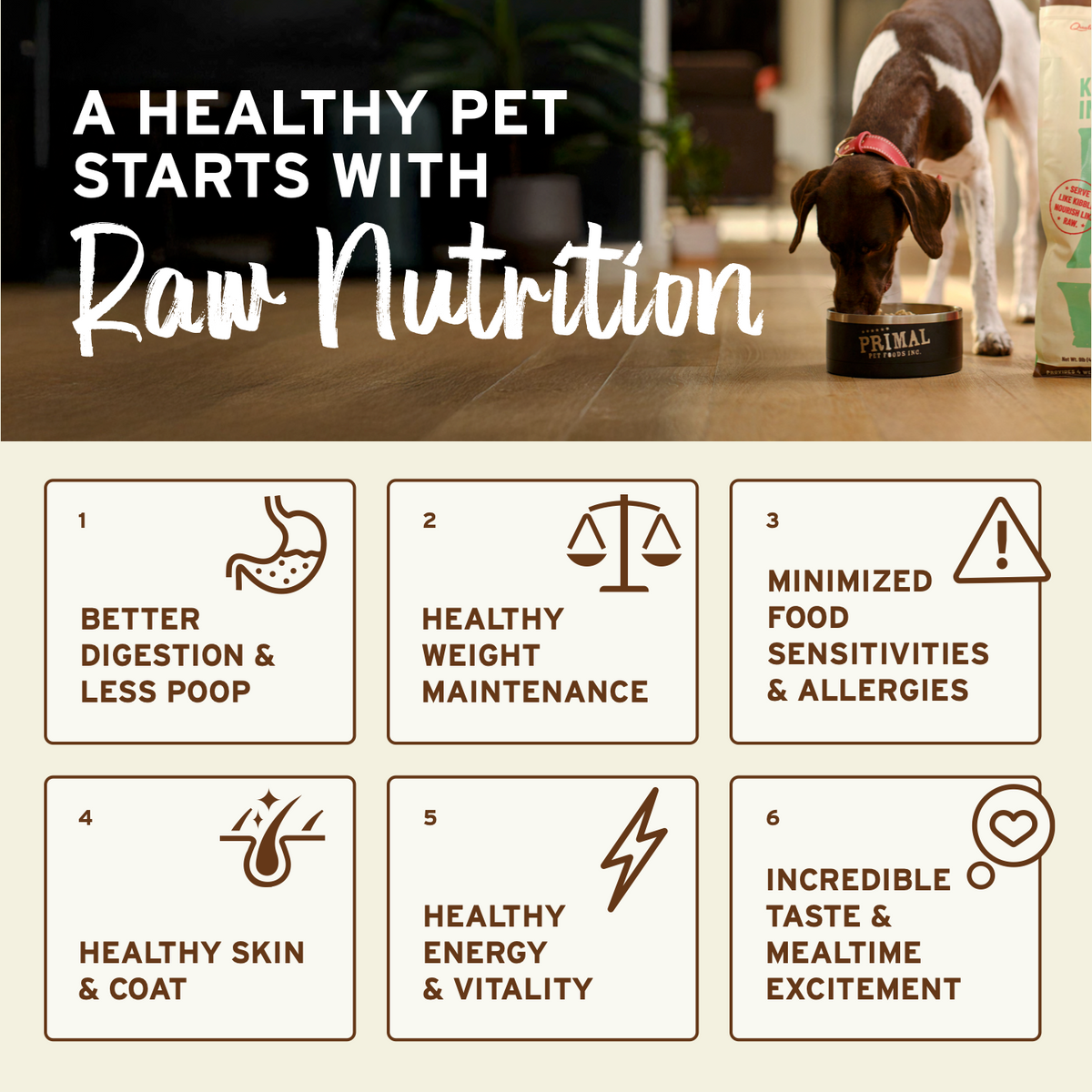 Freeze-Dried Dog Food product image 9