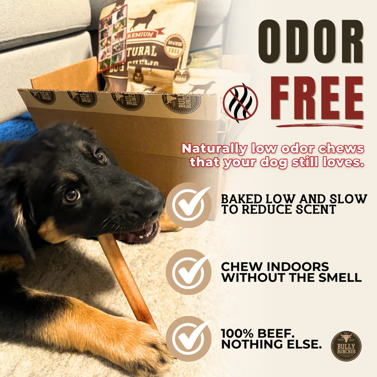 6 Inch Thick Bully Stick product image 4