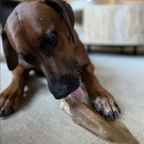 Natural Cow Ear Dog Chews product image 2