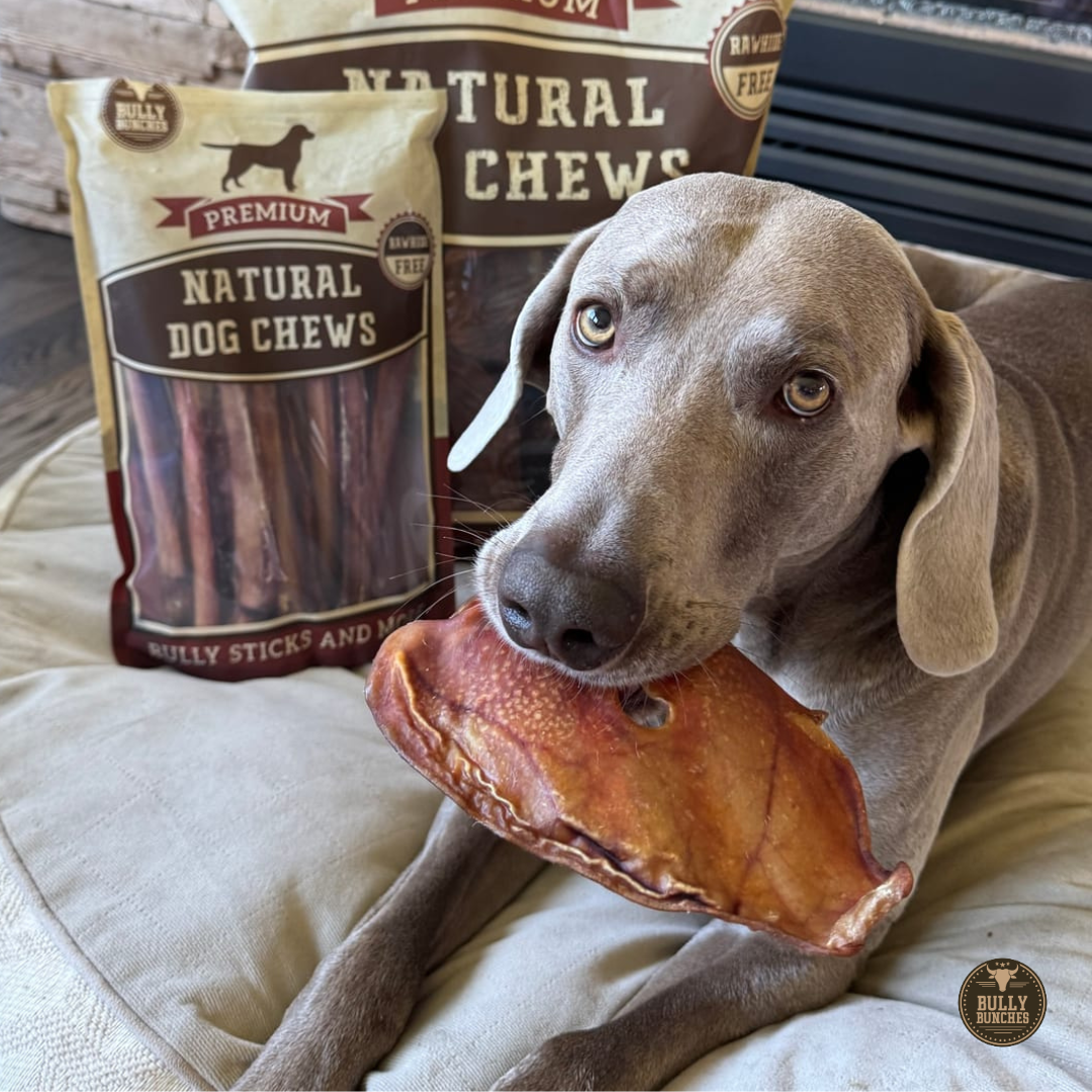 Whole Pig Ear product image 2