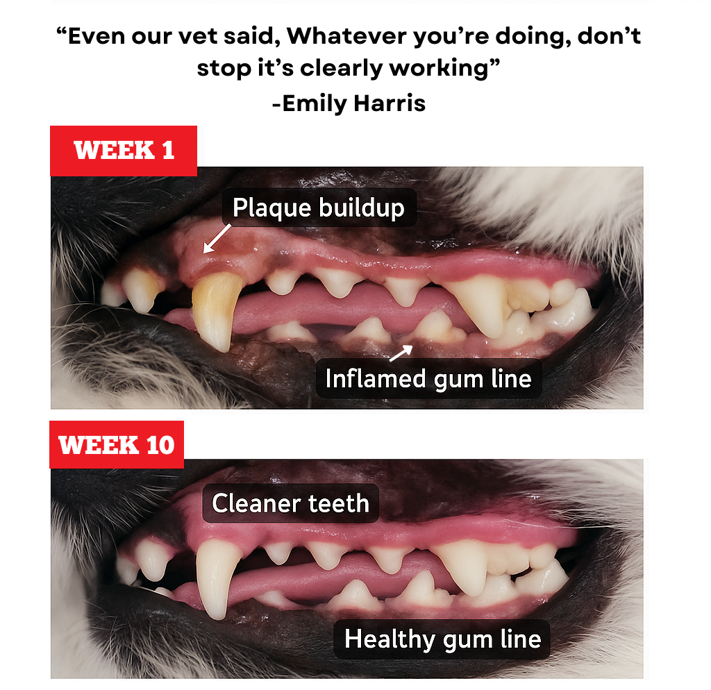 Himalayan Yak Chew Flavor Pack product image 6