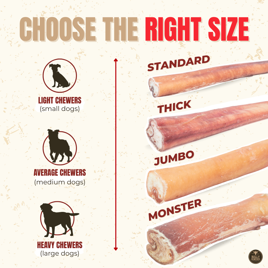 12 Inch Monster Bully Stick Dog Chew product image 5