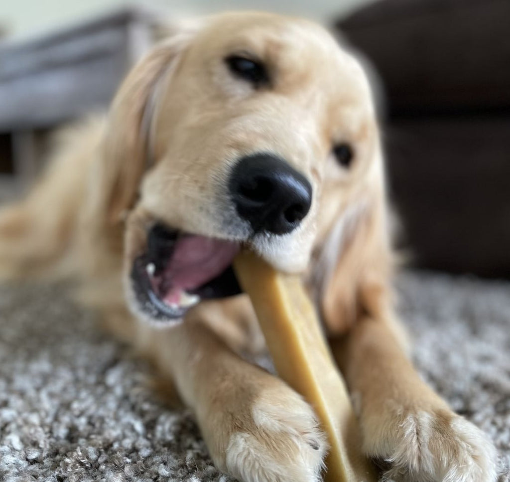 Himalayan Yak Chew (LARGE) product image 3