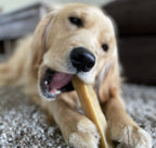 Himalayan Yak Chew (LARGE) product image 3