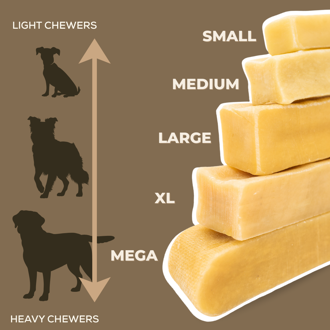 Himalayan Yak Chew (LARGE) product image 4