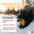 Himalayan Yak Chew (LARGE) product image 9