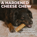 Himalayan Yak Chew (LARGE) product image 11