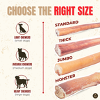 Jumbo Bully Sticks product image 5