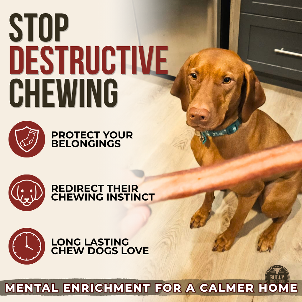 Jumbo Bully Sticks product image 6