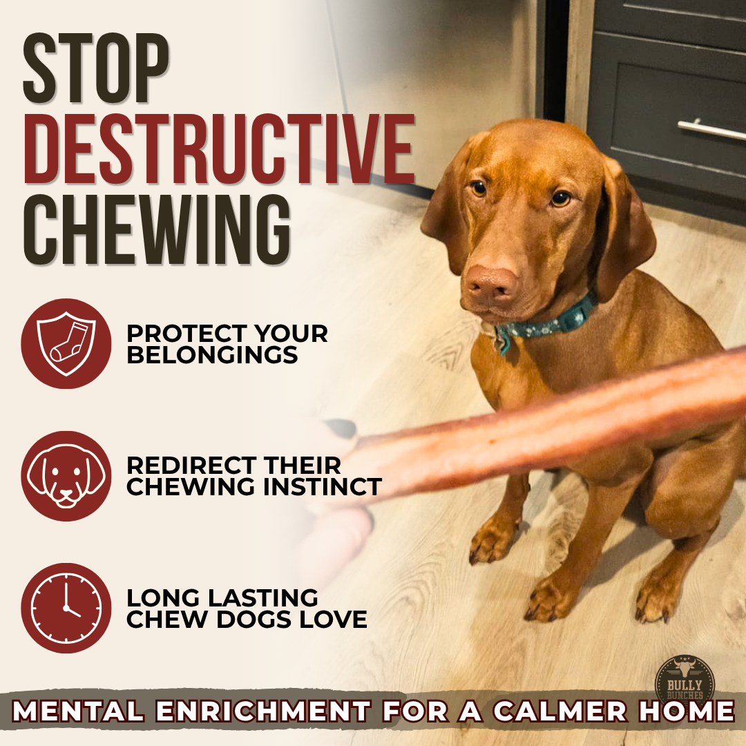 Jumbo Bully Sticks product image 6