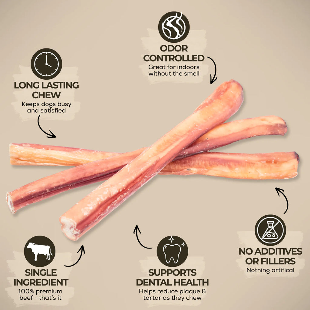 12 Inch Jumbo Bully Stick product image 3