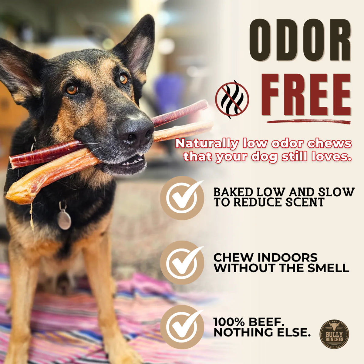 12 Inch Jumbo Bully Stick product image 4