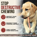 12 Inch Jumbo Bully Stick product image 6