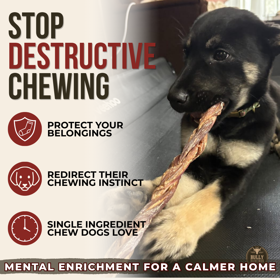 Beef Jerky Dog Treat product image 4