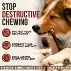 6 Inch Standard Bully Stick product image 4
