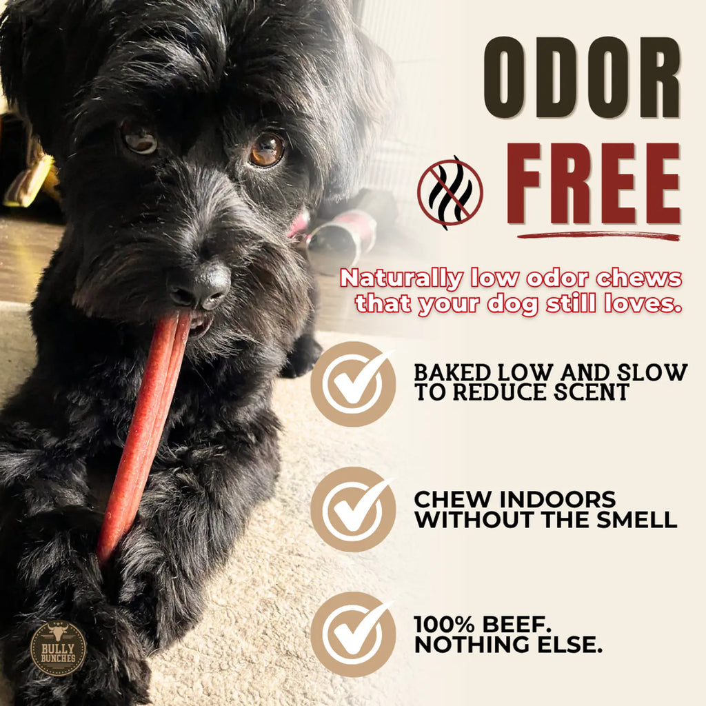6 Inch Standard Bully Stick product image 5