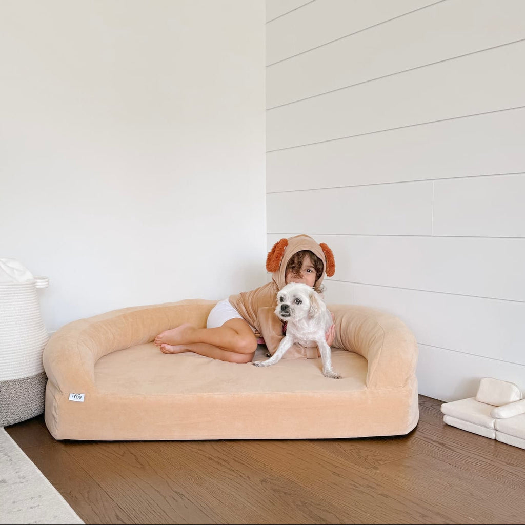 Foam Pet Bed product image 1