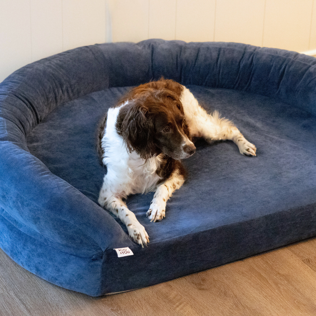 Foam Pet Bed product image 2