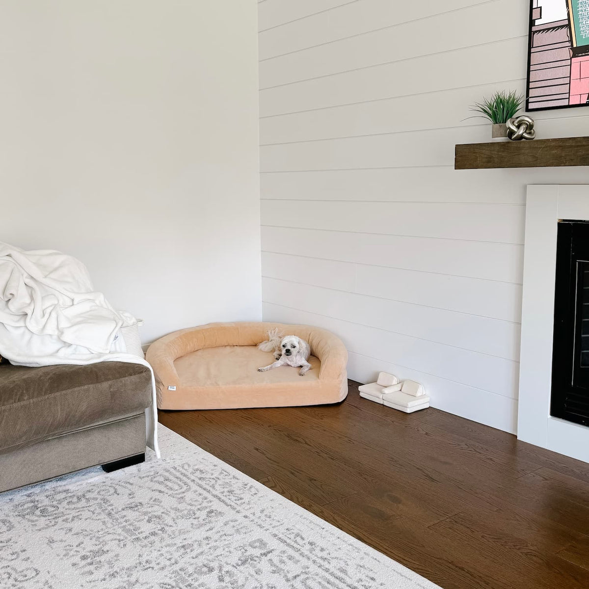 Foam Pet Bed product image 5